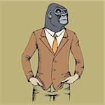 Monkey vector concept. Illustration of African gorilla in human suit. The most dangerous ape and biggest monkey