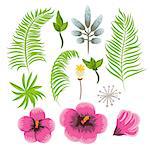 Set of exotic tropical flowers and palm leaves. Jungle flora vector clip art.