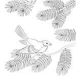 Bird Titmouse Sitting on Pine Tree Branch with Needles and Cones, Black Contour Isolated on White Background. Vector