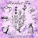 Lavender hand drawn sketch botanical illustration. Utensils for tea. Vector illustation. Medical herbs. Lettering in English and Russian languages. Grunge background