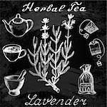 Lavender hand drawn sketch botanical illustration. Utensils for tea. Vector illustation. Medical herbs. Effect of chalk board. Grunge background