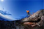 Cyclist Riding the Bike Down Hill on the Mountain Rocky Trail at Sunset. Extreme Sports. Durknest time. Evening time. beautiful landskape. fisheye.
