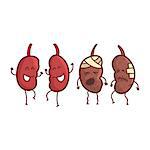 Kidneys Human Internal Organ Healthy Vs Unhealthy, Medical Anatomic Funny Cartoon Character Pair In Comparison Happy Against Sick And Damaged. Vector Illustration Humanized Anatomic Elements.