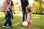 Young mixed race family playing with ball in a park, crop