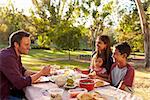 Mixed race family enjoying a picnic at a table in a park