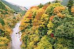 Water stream and Autumn leaves in Okutama, Tokyo, Japan