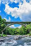 Fresh green at Otaki Valley, Tokyo, Japan