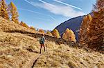 Young boy hiking along pathway, rear view, Schnalstal, South Tyrol, Italy