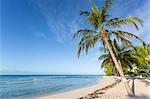 Savannah Beach, Bridgetown, Christ Church, Barbados, West Indies, Caribbean, Central America