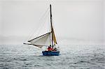 Traditional sustainable oyster fishing. Traditional sailing boats on the river Fal estuary.