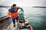 Traditional Sustainable Oyster Fishing. A fisherman opening a fishing creel on a boat deck.