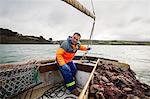 Traditional sustainable oyster fishing. A fisherman on a sailing boat sorting the oyster catch