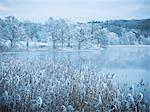 Winter lake