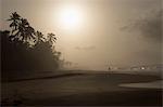 Man walking on the beach at sunset, Western Province, Sri Lanka