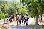 Male and female grooms leading horses from paddock at rural stables