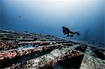 Diver exploring shipwreck, underwater view, Cancun, Mexico