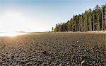 Beach and forest at sunrise, Rathrevor Beach Provincial Park, Vancouver Island, British Columbia, Canada