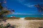 View of beach and Indian Ocean, Reunion Island