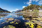 Autumn leaves in Lake Tarasp frame the old castle, Inn district, Canton of Graubunden, Engadine, Switzerland, Europe