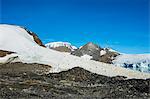 Adelie penguin (Pygoscelis adeliae) colony in Hope Bay, Antarctica, Polar Regions