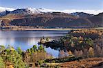 Woodland around Brandlehow, Derwent Water, Cumbria, England, United Kingdom, Europe