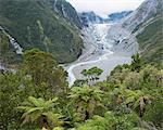 View to the Fox Glacier from the Chalet Lookout Track, Fox Glacier, Westland Tai Poutini National Park, UNESCO World Heritage Site, West Coast, South Island, New Zealand, Pacific