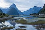 View of Milford Sound at low tide, Mitre Peak reflected in pool, Milford Sound, Fiordland National Park, UNESCO World Heritage Site, Southland, South Island, New Zealand, Pacific