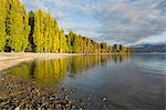 View along the shore of tranquil Lake Wanaka, autumn, Roys Bay, Wanaka, Queenstown-Lakes district, Otago, South Island, New Zealand, Pacific