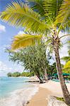 Beach, Holetown, St. James, Barbados, West Indies, Caribbean, Central America