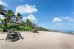 Bathsheba Beach, Bathsheba, St. Joseph, Barbados, West Indies, Caribbean, Central America