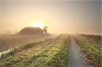 farmland at misty sunrise, Netherlands