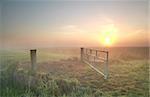 misty sunrise on Dutch farmland, Groningen, Netherlands