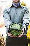 Organic vegetables. Farmers hands with freshly harvested vegetables. Fresh organic kale.