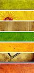 Collection banners with texture old paper of different colors - red, brown, green, yellow, orange, and sunflower, filmstrip, notes, leaves