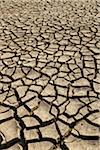 Dried and Cracked Earth, Dabhoi, Gujarat, India