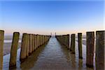 Wooden Breakwater on Beach at Low Tide, Domburg, North Sea, Zeeland, Netherlands