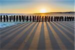 Wooden Breakwater on Sandy Beach at Low Tide at Sunrise, Domburg, North Sea, Zeeland, Netherlands