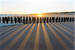 Wooden Breakwater on Sandy Beach at Low Tide at Sunrise, Domburg, North Sea, Zeeland, Netherlands