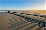 Wooden Breakwater on Sandy Beach at Low Tide, Domburg, North Sea, Zeeland, Netherlands