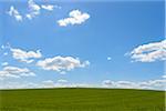 Grainfield with Sky and Clouds in Spring, Baden-Wurttemberg, Germany