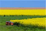 Bee Hives in Countryside with Canola Field in Spring, Birkenfeld, Franconia, Bavaria, Germany