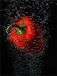 Red pepper in bubbles, black background