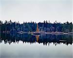 Christmas tree in lake in pine forest