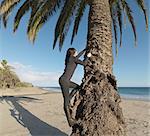 Woman climbing palm tree on beach