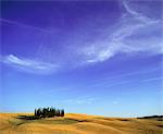 Orcia valley in summer