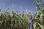 Farmer checking crop