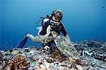 Diver swimming with hawksbill turtle