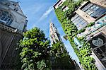 Ivy growing on ornate buildings