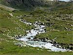 Stream rushing over rocks in meadow