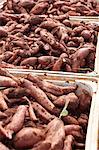 Close up of crates of sweet potatoes